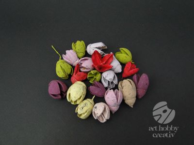 Bakuli planta uscata - color pach/50gr