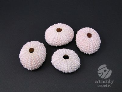 Arici de mare natur set/4buc