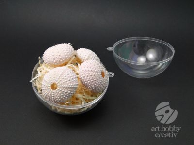 Arici de mare natur set/4buc