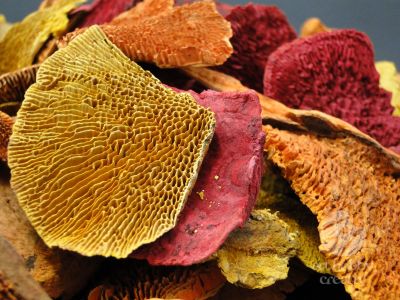 Ciuperci uscate pachet/175gr
