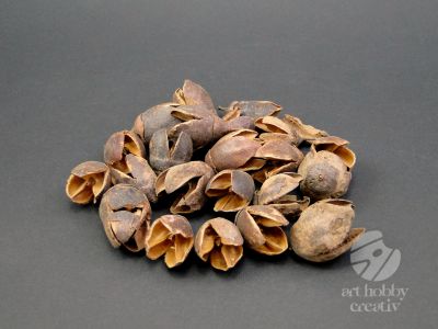 Bakuli - planta uscata - pach/50gr