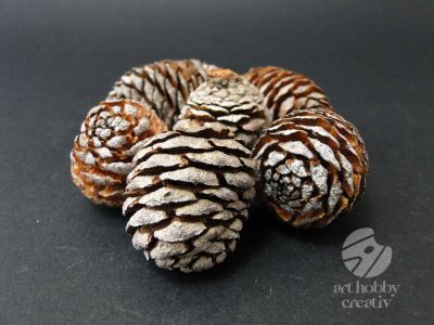 Conuri de brad natur - sferic set/6buc