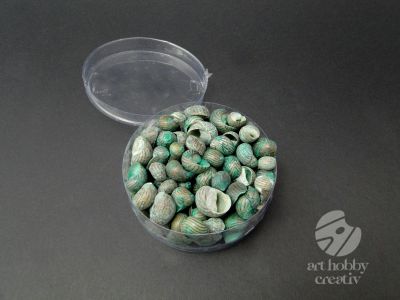  Scoici pentru decor - verde pach/100gr