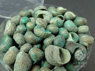  Scoici pentru decor - verde pach/100gr