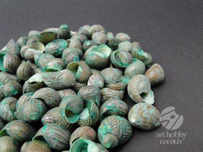  Scoici pentru decor - verde pach/100gr