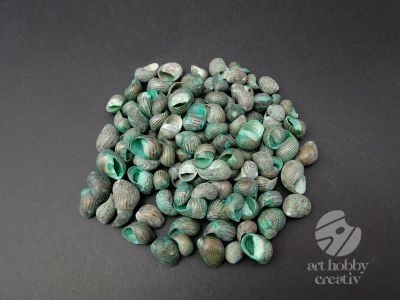  Scoici pentru decor - verde pach/100gr