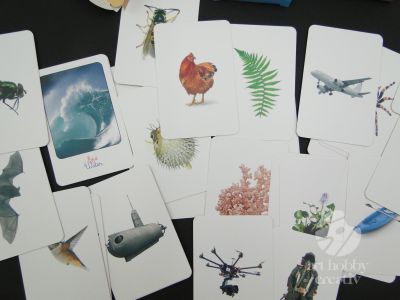 Carti de joc Montessori - dif. tematici 