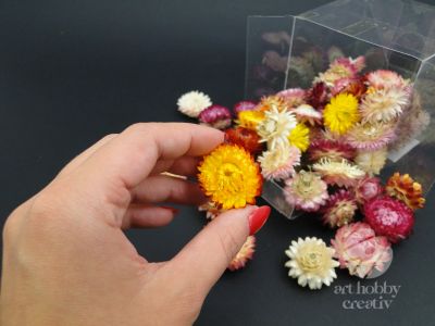 Capete flori de paie - imortele - pach/30gr/50buc