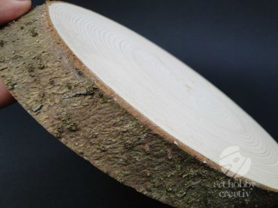 Felie lemn brad oval - 15-20 cm 