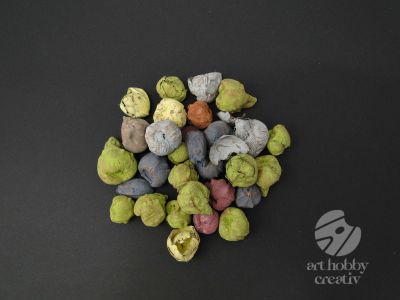Planta uscata - cocos mini - color pachet/100gr
