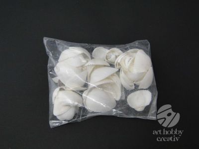 Scoici decorative mini albe 140gr