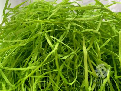 Lana de lemn - verde 500gr