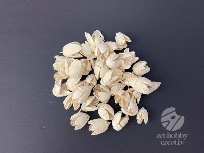 Bakuli planta uscata - alb pach/50gr