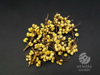 Crengute cu bobite galbene - planta uscata - pach/50gr