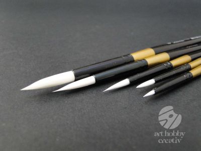 Pensule set/5buc- AMI mod.2