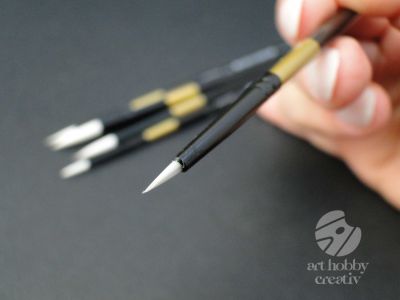 Pensule set/5buc- AMI mod.2