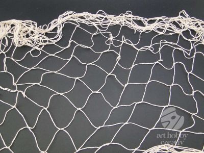 Plasa decorativa de pescuit 200x100cm