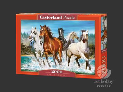 Puzzle Castorland 2000 piese - Call of Nature