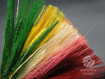 Grau cu spic lung - color 