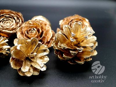 Pachet plante uscate - auriu 