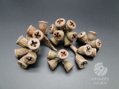 Fruct eucalipt natur - pachet/40gr
