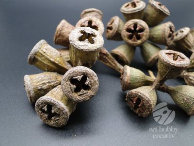 Fruct eucalipt natur - pachet/40gr