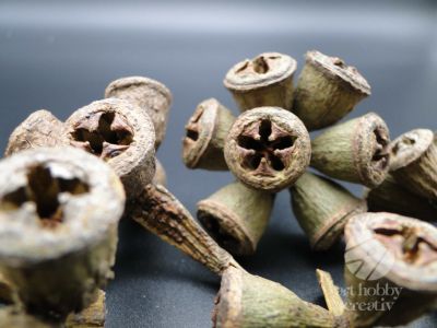 Fruct eucalipt natur - pachet/40gr