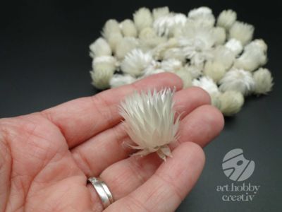Capete de flori capblumen natur 15gr