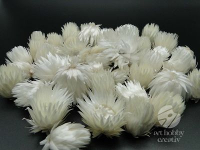 Capete de flori capblumen natur 15gr