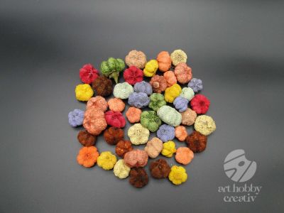 Plante uscate - usturoi - nuante de tomna 120gr