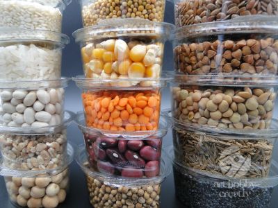  Colectie de Seminte Naturale pentru Proiecte DIY si Scoala 300gr.