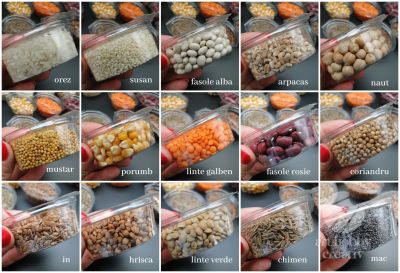  Colectie de Seminte Naturale pentru Proiecte DIY si Scoala 300gr.