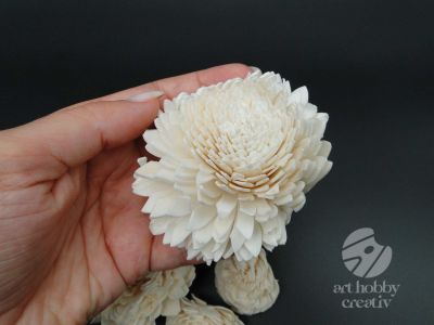 Floare ming crizanteme set/6buc