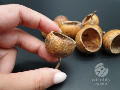 Bell cup natur - set/8buc