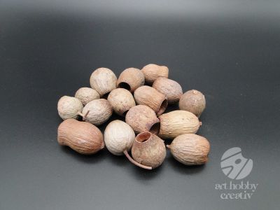 Fruct eucalipt - 50 gr