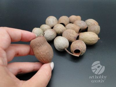 Fruct eucalipt - 50 gr