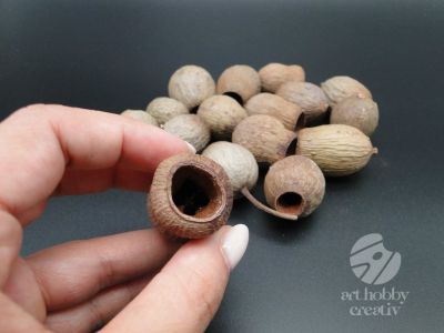 Fruct eucalipt - 50 gr