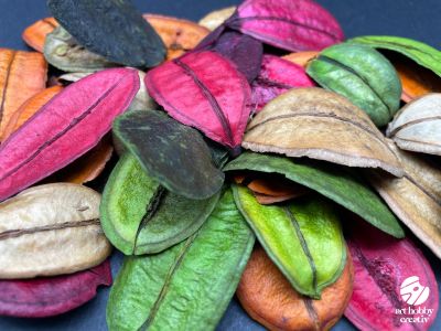 Asa Barata Color – Set 20g