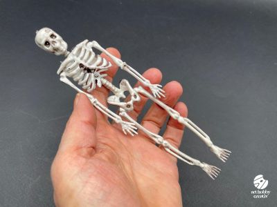 Schelet Decorativ din Plastic – 15-16 cm (Halloween & Craft Decor)