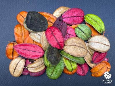 Asa Barata Color – Set 20g