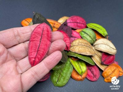Asa Barata Color – Set 20g