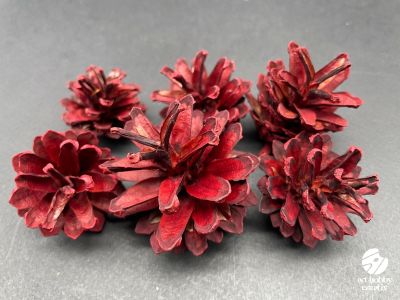 Conuri Naturale de Brad Vopsite Rosu - set/6buc