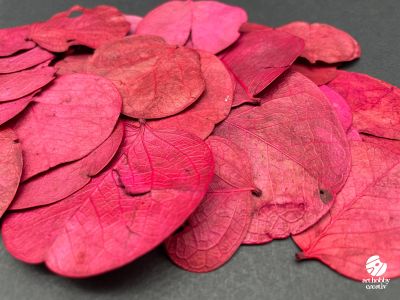 Frunze Moneta Rosu / Magenta - 10 gr