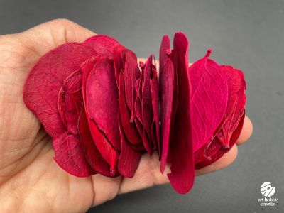 Frunze Moneta Rosu / Magenta - 10 gr
