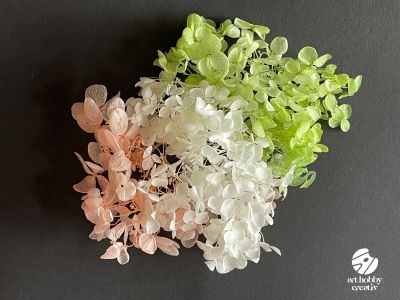 Hortensie Criogenată (Naturală) – 1,0 gr