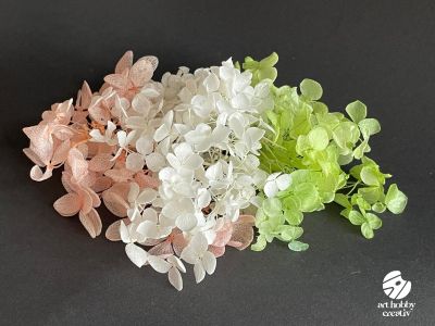 Hortensie Criogenată (Naturală) – 1,0 gr