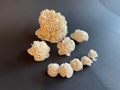 Set Capete de Crizantemă Ming – Mix 3 Dimensiuni (9 bucăți)