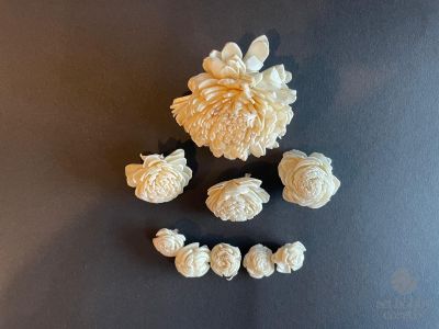 Set Capete de Crizantemă Ming – Mix 3 Dimensiuni (9 bucăți)