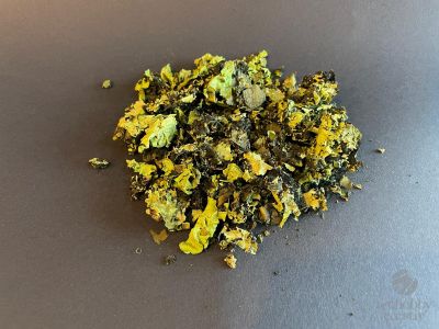 Lichien Naturali Uscati si Vopsiti – Set 10g