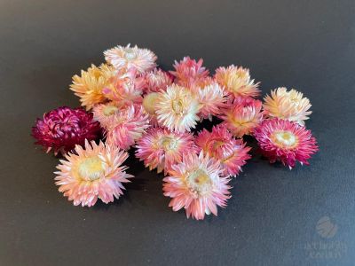  Capete Flori de Pai (Naturale) – Set 10g – roz